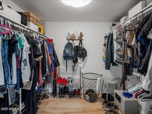 walk in closet with light hardwood / wood-style floors