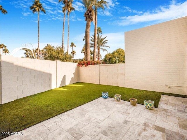 view of yard with a patio