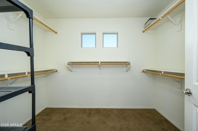 walk in closet with dark carpet