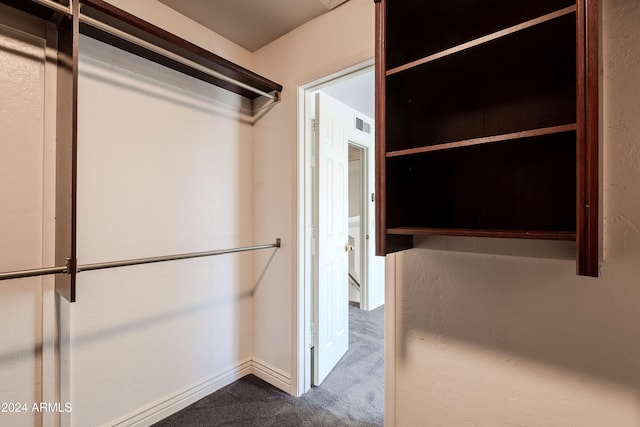 spacious closet featuring carpet