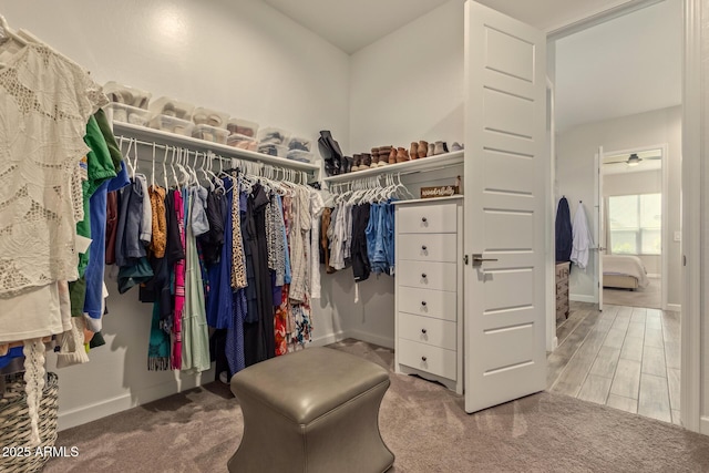 10447 W Salter Dr, Peoria, AZ 85382 - spacious closet with carpet flooring and a ceiling fan