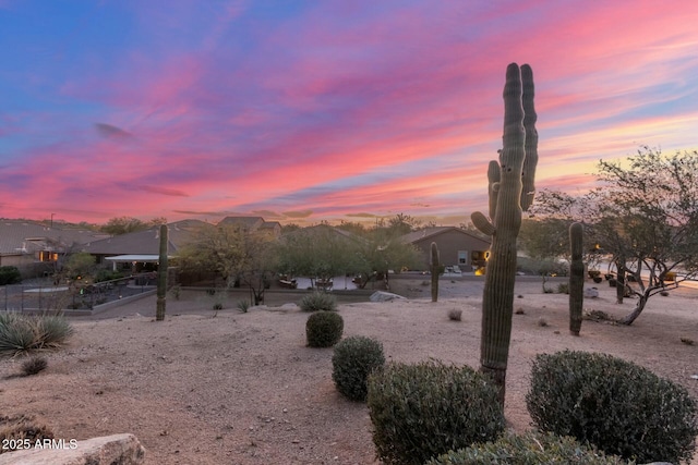 view of yard at dusk