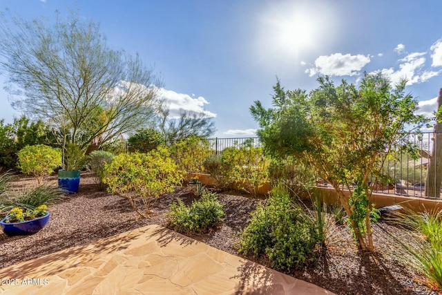 view of yard with a patio area and fence