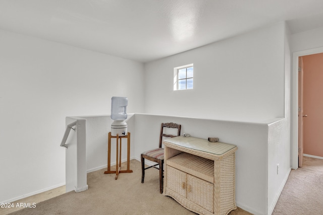 sitting room featuring light carpet