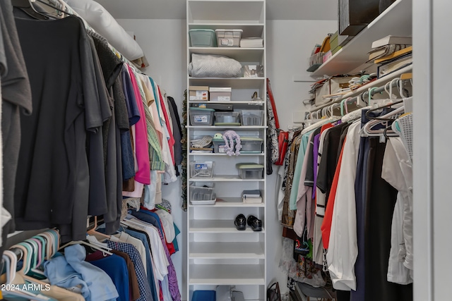 view of spacious closet