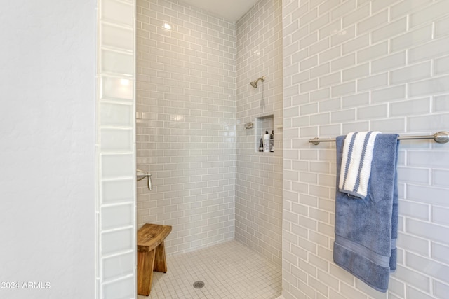 15201 S 183rd Dr, Goodyear, AZ 85338 - bathroom with tiled shower