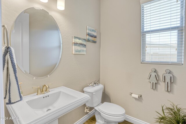 bathroom with toilet and sink