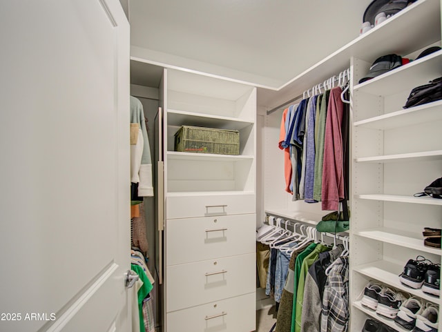 view of walk in closet