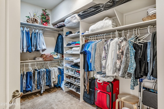 walk in closet featuring carpet