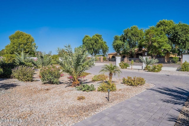 view of yard featuring decorative driveway, a fenced front yard, and a gate