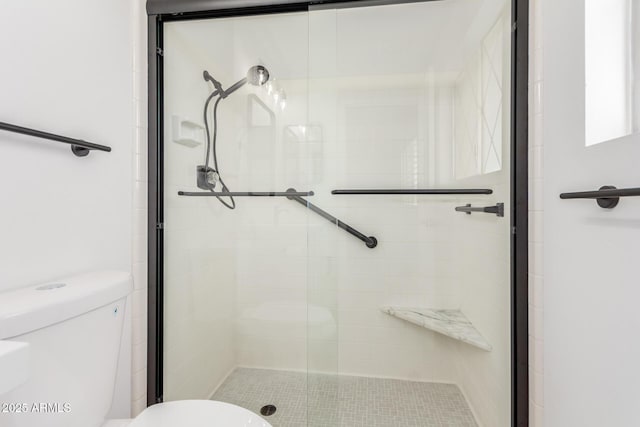 10750 W Abbott Ave, Sun City, AZ 85351 - bathroom with a stall shower and toilet
