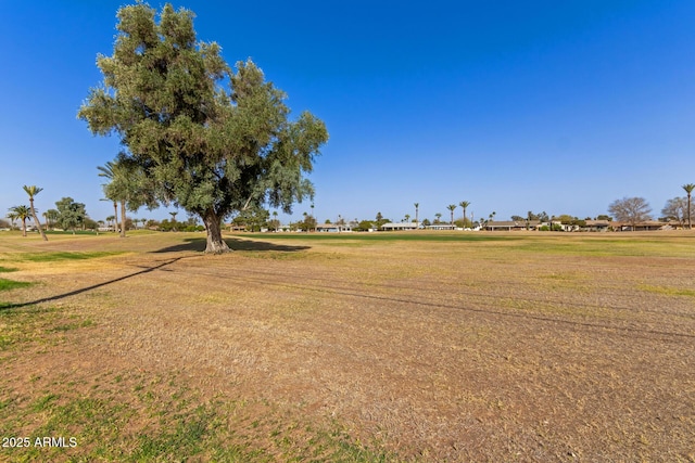 10750 W Abbott Ave, Sun City, AZ 85351 - view of yard