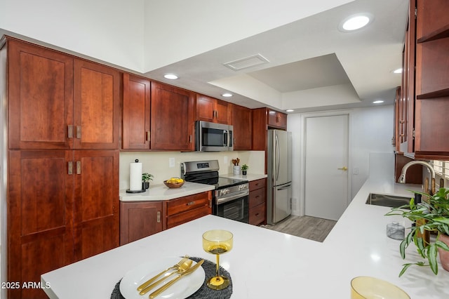 kitchen with a tray ceiling, appliances with stainless steel finishes, sink, and kitchen peninsula