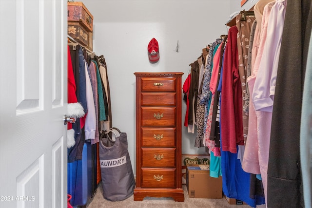 walk in closet with light carpet