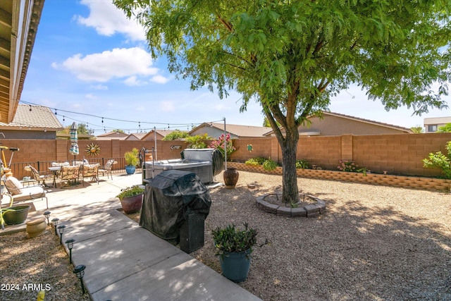 view of yard with a patio area