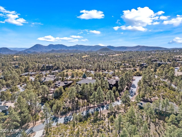 drone / aerial view featuring a mountain view