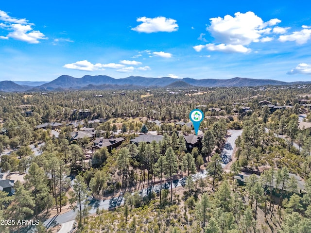 birds eye view of property with a mountain view