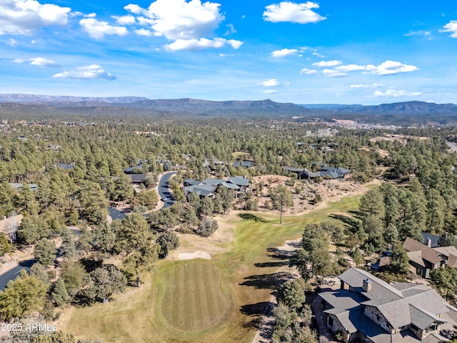 aerial view with a mountain view