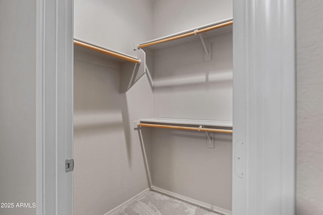 spacious closet featuring carpet flooring