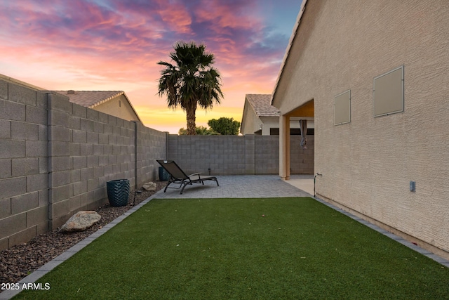 view of yard with a fenced backyard and a patio area