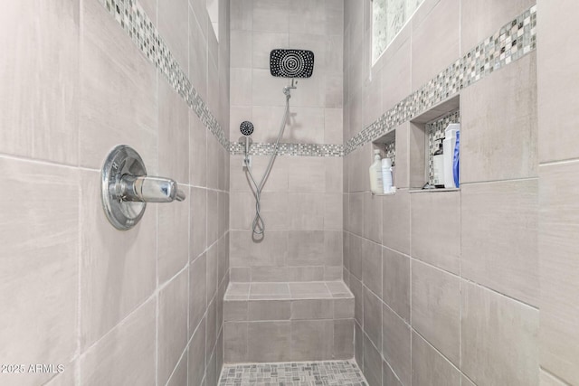 3884 S Wilson Dr, Chandler, AZ 85286 - full bathroom with tiled shower