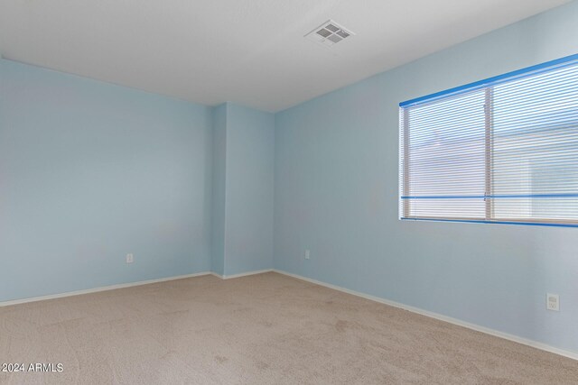 unfurnished bedroom featuring carpet flooring and a closet