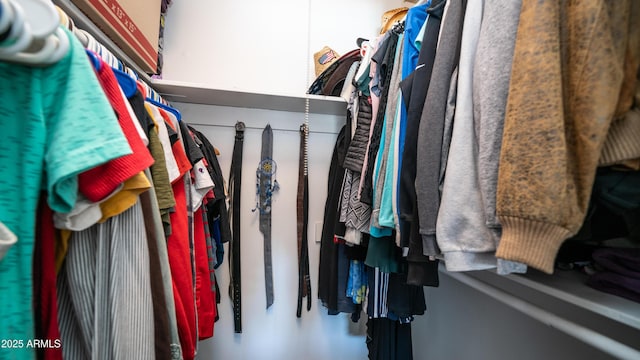 2139 W Obispo Ave, Mesa, AZ 85202 - view of spacious closet