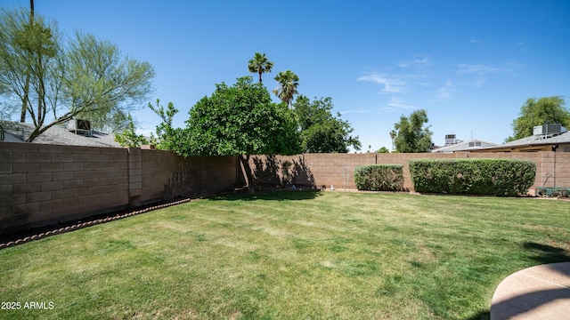 2139 W Obispo Ave, Mesa, AZ 85202 - view of yard