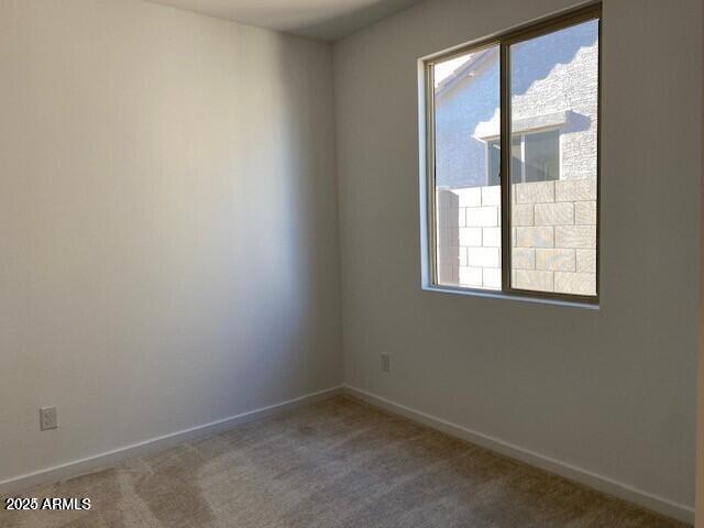 carpeted empty room featuring a wealth of natural light and baseboards