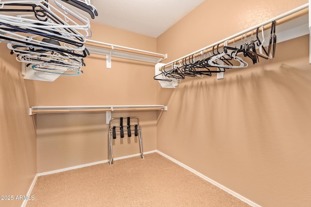 spacious closet with carpet