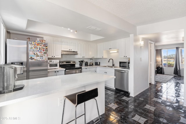 6345 N 49th Ave, Glendale, AZ 85301 - kitchen with stainless steel appliances, a sink, white cabinetry, light countertops, and a tray ceiling
