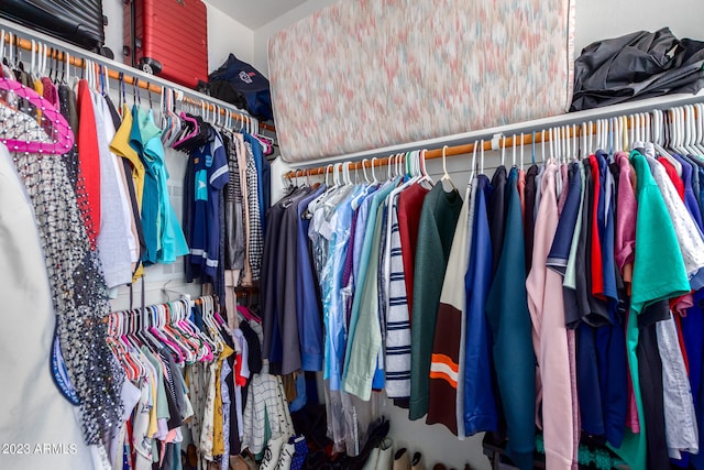 view of walk in closet