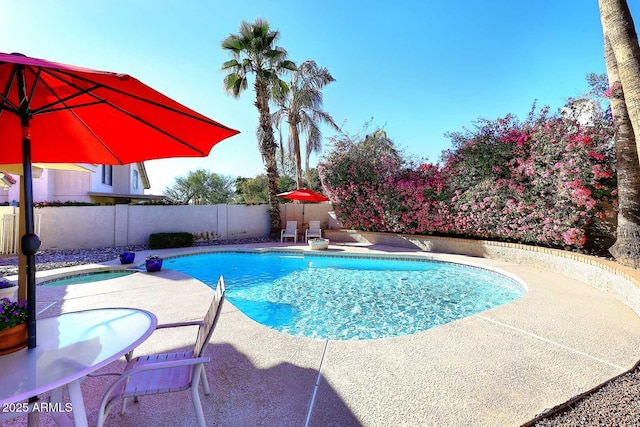 view of pool with a fenced backyard, a fenced in pool, and a patio