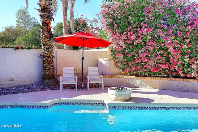 view of pool with a patio area, a fenced backyard, and a fenced in pool