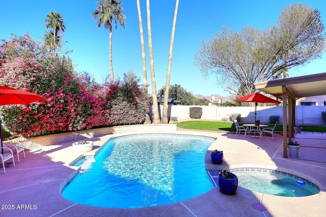 view of pool featuring a patio area, a fenced backyard, and a fenced in pool