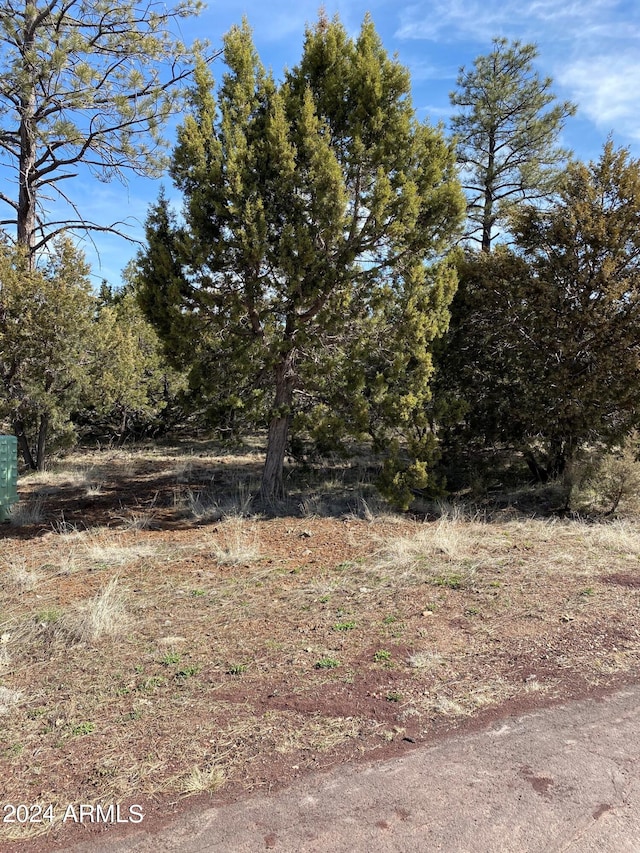 4864 Bison Trl Unit 40, Lakeside AZ, 85929 land for sale