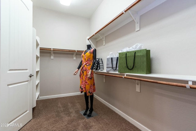 walk in closet with carpet flooring