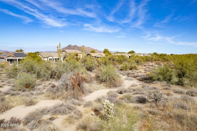 view of local wilderness