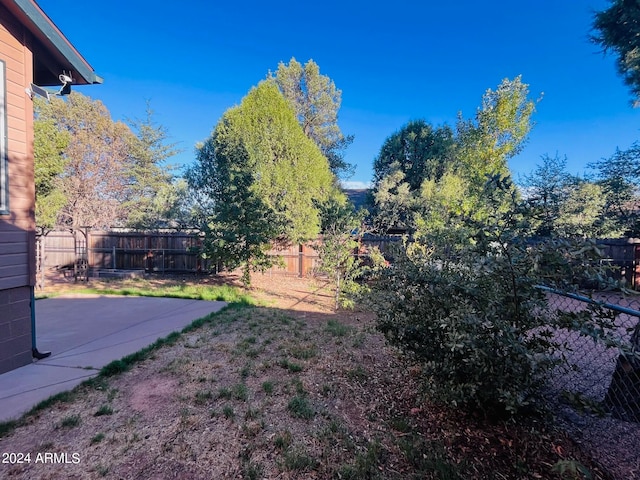 view of yard with a patio and a fenced backyard