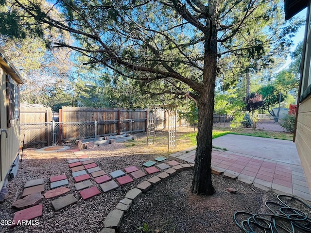 view of yard featuring a fenced backyard and a patio