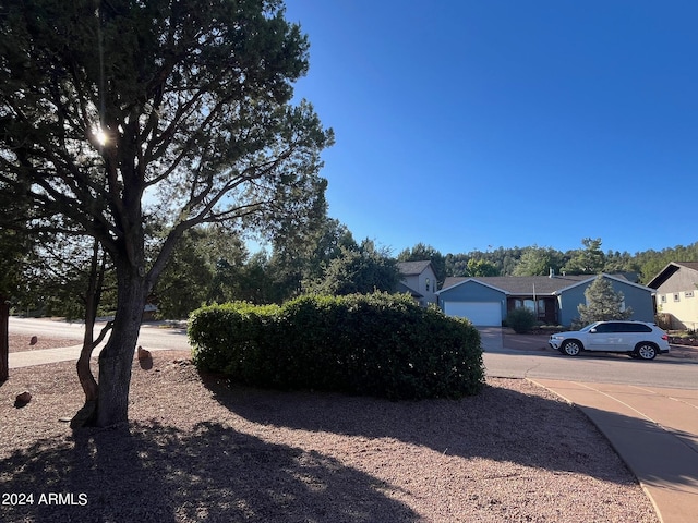 view of yard featuring a garage and driveway