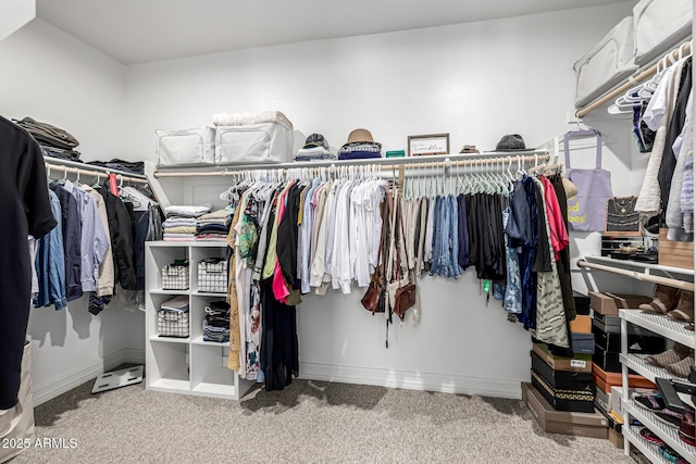 25725 S 230th St, Queen Creek, AZ 85142 - spacious closet with carpet flooring