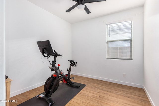 workout area featuring light hardwood / wood-style flooring and ceiling fan