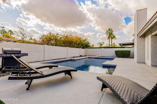 view of pool featuring area for grilling and a patio area