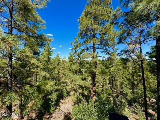 1725 Turkey Mountain Rd, Happy Jack, AZ 86024 - view of local wilderness featuring a wooded view