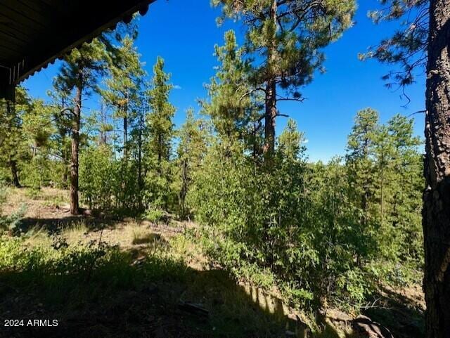 1725 Turkey Mountain Rd, Happy Jack, AZ 86024 - view of local wilderness