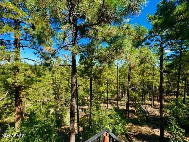 1725 Turkey Mountain Rd, Happy Jack, AZ 86024 - view of local wilderness featuring a wooded view