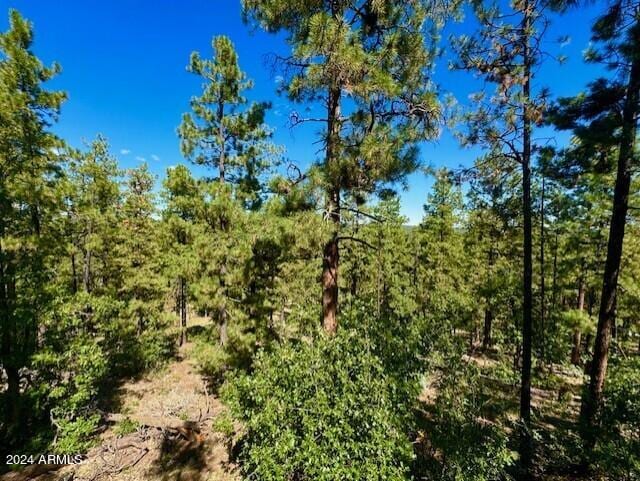 1725 Turkey Mountain Rd, Happy Jack, AZ 86024 - view of local wilderness with a wooded view