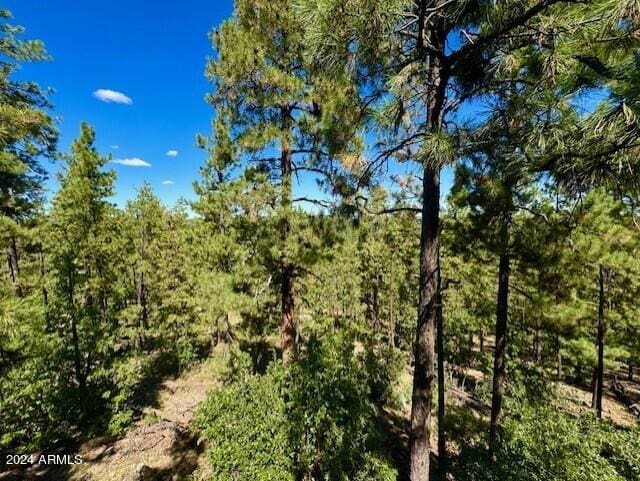 1725 Turkey Mountain Rd, Happy Jack, AZ 86024 - view of landscape with a wooded view