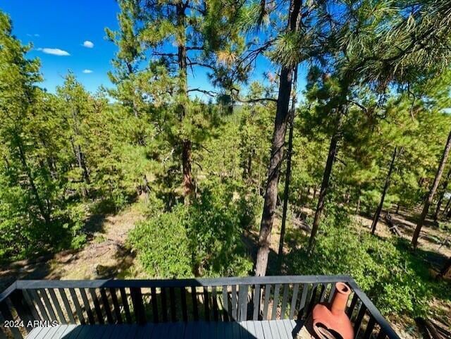 1725 Turkey Mountain Rd, Happy Jack, AZ 86024 - exterior space